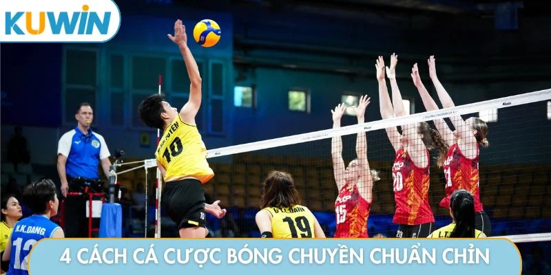 4 cách cá cược bóng chuyền chuẩn chỉn
